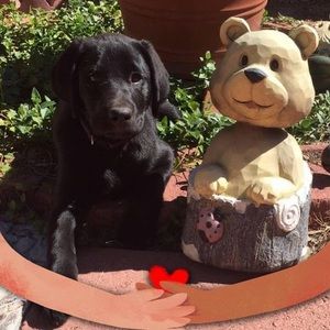 Meet your Posher, Carol